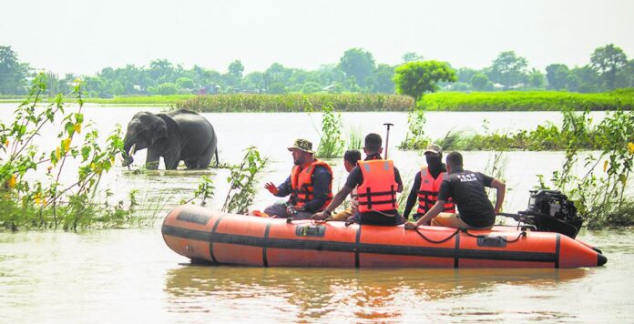 Assam: Seven More People Dead In Flood-Related Incidents, Death Toll Touches 90