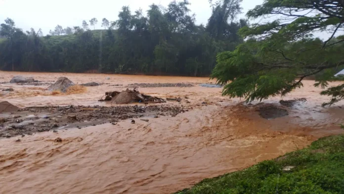 Wayanad Landslides: Over 80 Bodies Recovered As Rescue Operations Underway