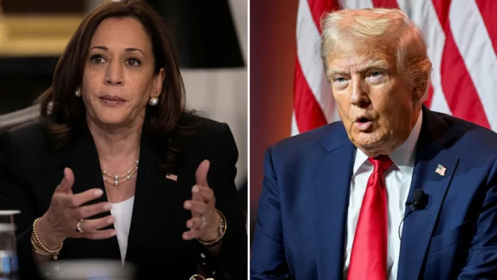 US Election: Donald Trump Calls Kamala Harris 'Disrespectful' Of Her Ethnicity