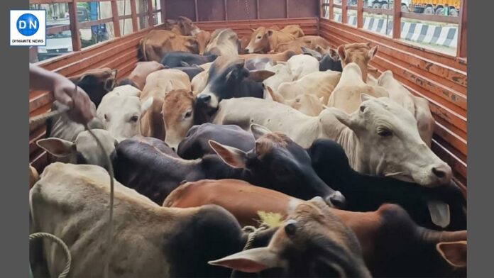 Bihar: 30 People Detained After Two Groups Scuffle Over Alleged Cattle Smuggling