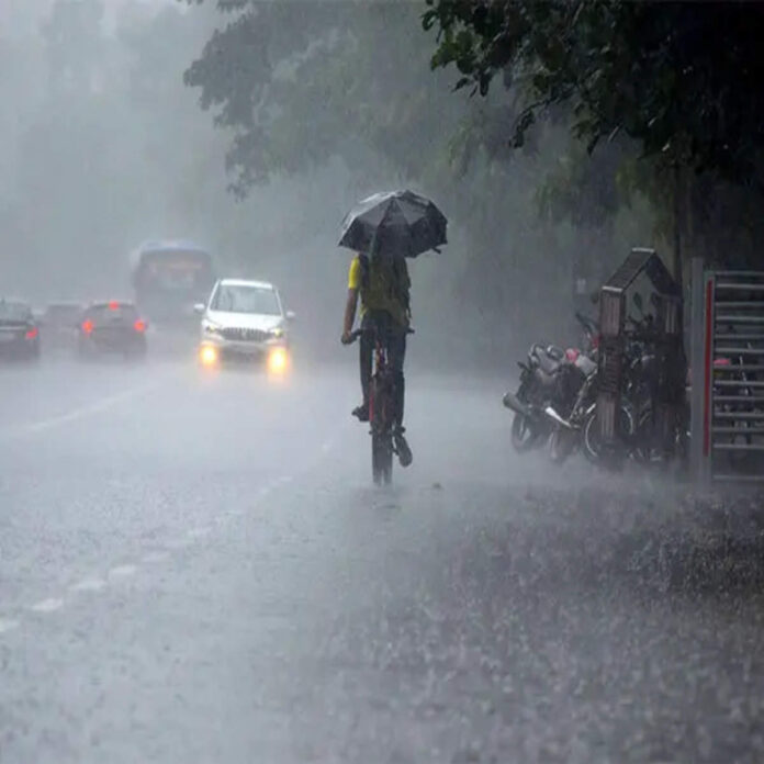 Heavy Rain In Odisha, 560 Villages Affected In Malkangiri And Koraput Districts