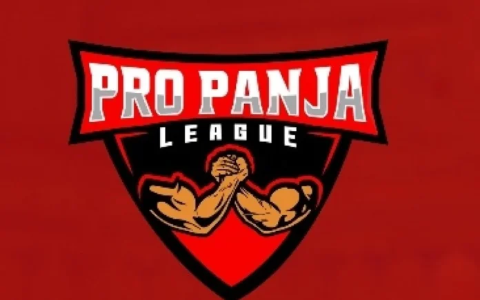 Pro Panja League Season 2 To Be Postponed