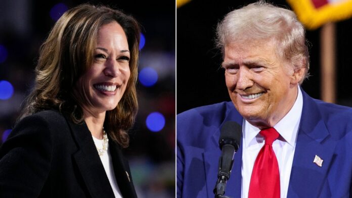 US: Survey Shows Donald Trump Taking Narrow National Lead Over Kamala Harris