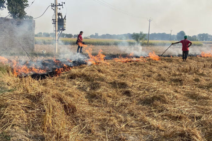 Our govt is giving Rs 1000 per acre for not burning stubble: Haryana CM