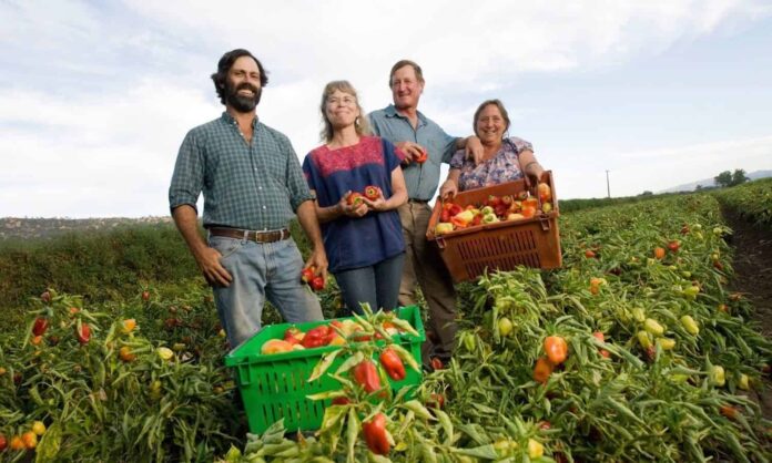 Decline In Austria's Fruit Farming Linked To Climate Change