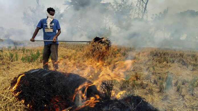 Stubble burning in Haryana, farm leader says 