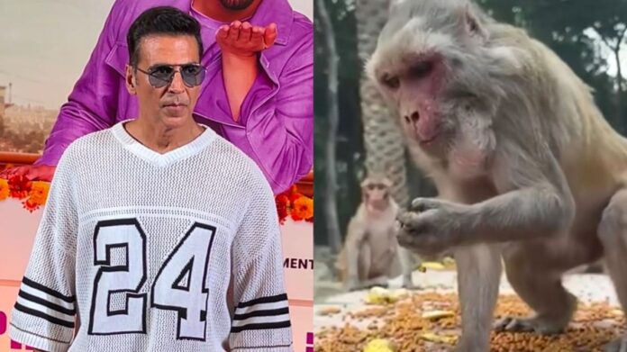 Akshay Kumar's Initiative Feeds Over 1,250 Monkeys in Ayodhya