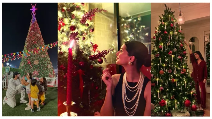 Bollywood Celebrities Celebrate Christmas 2024 In Style