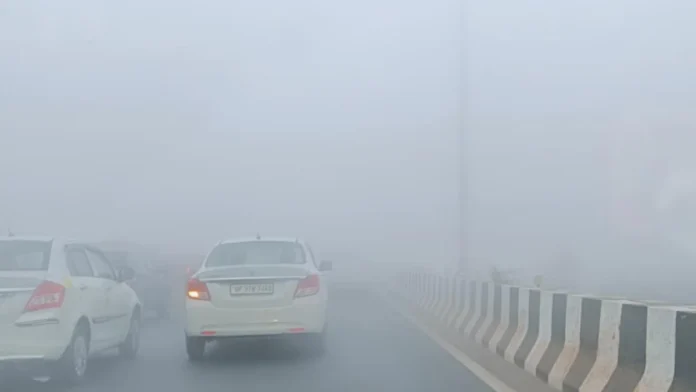 Dense Fog And Cooler Temperatures Envelop Delhi And Northern India