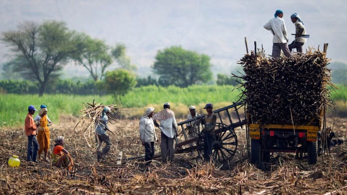 Farmers Present Key Demands Ahead Of Union Budget 2025-26