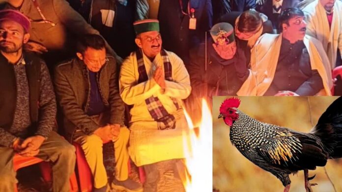 BJP Protests Over Alleged Serving Of Protected ‘Wild Chicken’ At Himachal CM’s Event