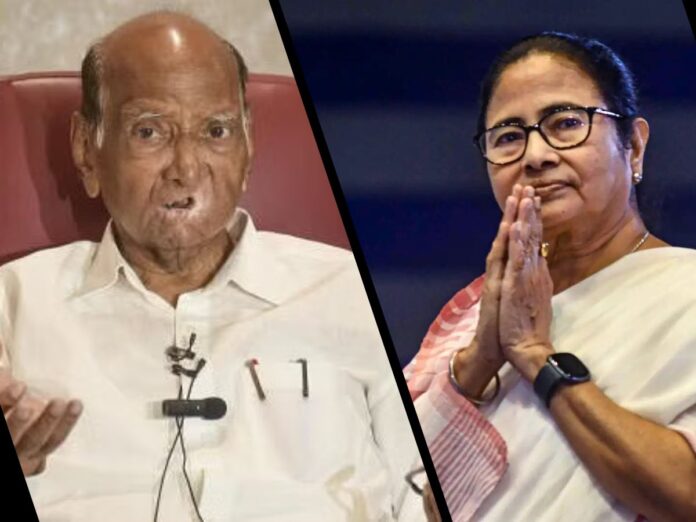 Mamata Banerjee Gains Momentum as INDIA Alliance’s Potential Leader Amid Pawar’s Endorsement