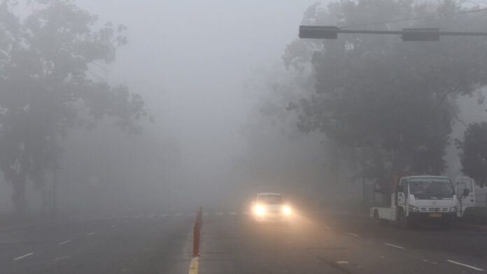 Dense Fog Covers parts of North India As Cold Wave Continues