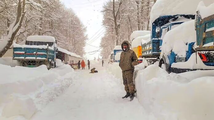 Heavy Snowfall Disrupts Life In Himachal Pradesh's Lahaul-Spiti