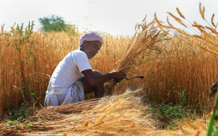 Union Cabinet Extends PM Fasal Bima Yojana Until 2026, Approves Key Initiatives for Farmers