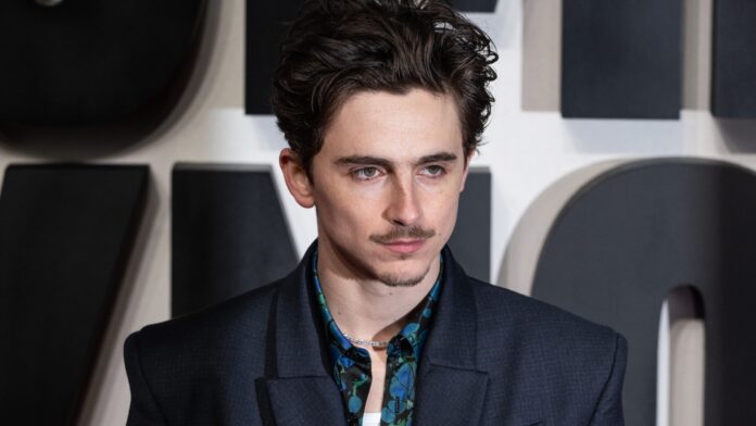 Timothée Chalamet Shares Hilarious Take On Oscar Nomination In 'SNL' Promo