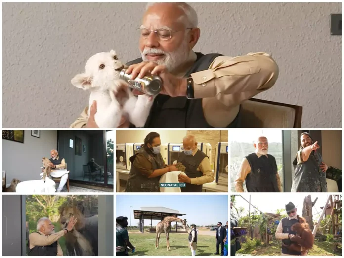 PM Modi Inaugurates Vantara, World’s Largest Wildlife Research Centre In Gujarat