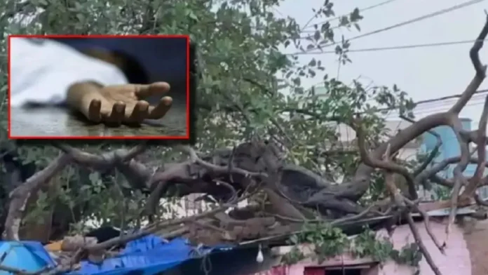 Delhi Weather Tragedy: Woman And Three Children Killed As Neem Tree Falls On Tubewell Room In Dwarka