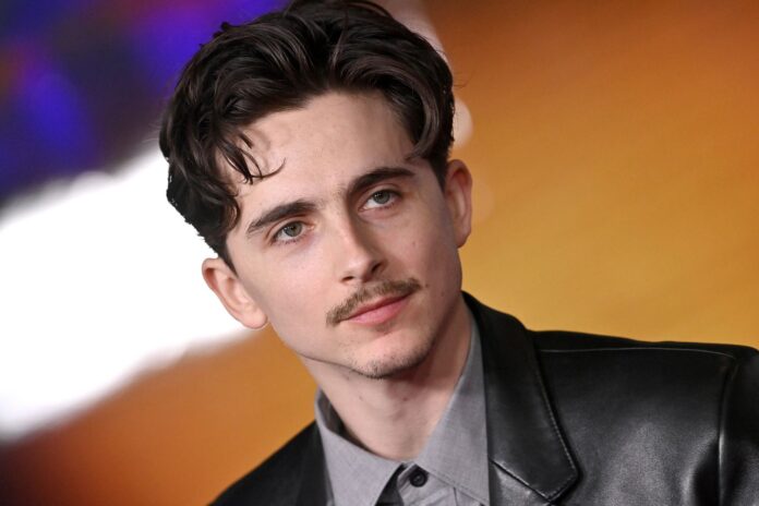 Timothee Chalamet to Receive Honorary David Award at 2025 David di Donatello Ceremony