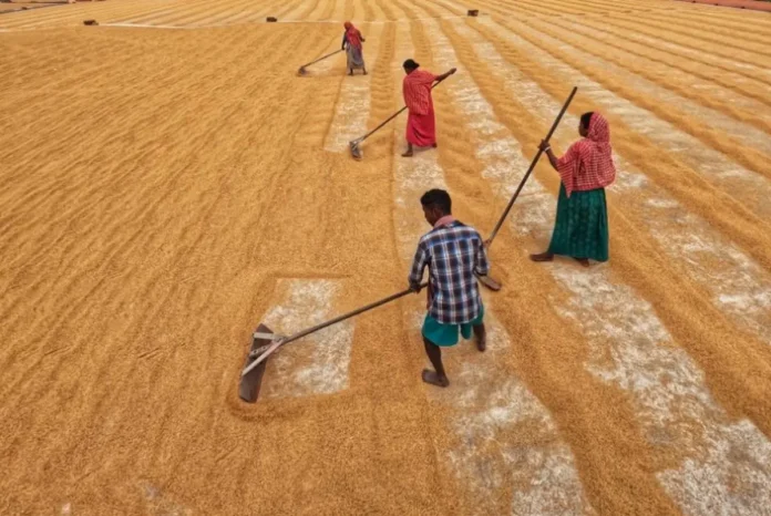 India’s Unemployment Rises To 5.6% In May Amid Post-Harvest Job Losses In Rural Areas