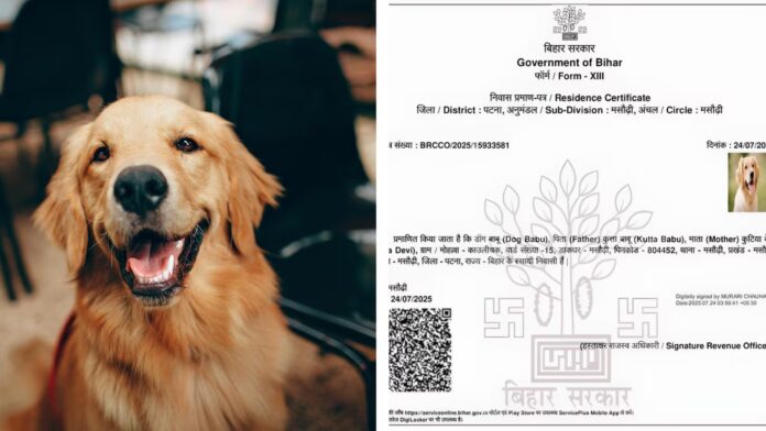 Bihar Govt issues residence certificate with name 'Dog Babu', cancels it later; probe underway
