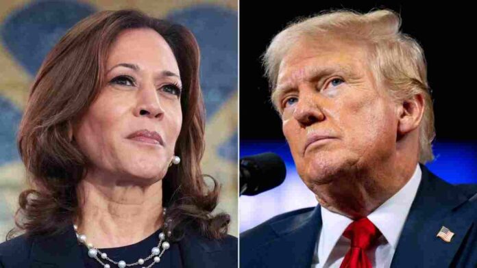 Trump Demands Prosecution of Kamala Harris and Celebrities Over Alleged Paid Endorsements