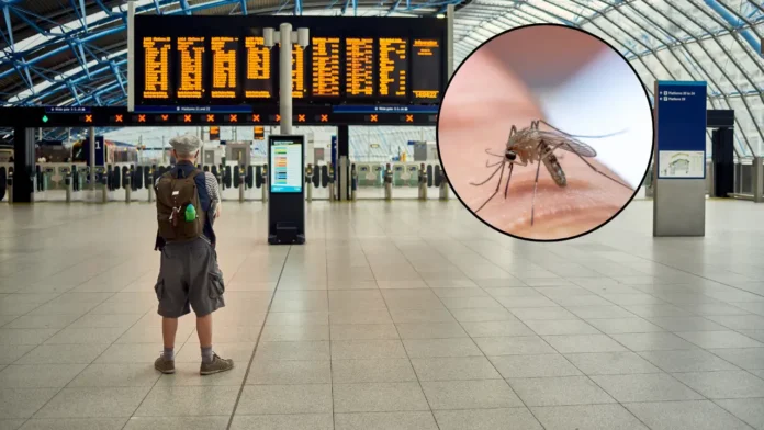 CDC Warns Travelers As Chikungunya Outbreak Hits China — What Are The Symptoms?