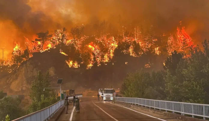 Massive Blaze Erupts Near Kunia, Oʻahu — Roads Closed, Crews Scramble