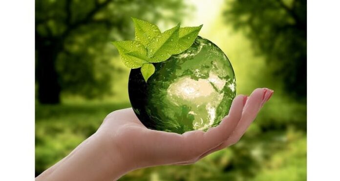 NIT Rourkela Scientists Develop Eco-Friendly Zinc Nanoparticles To Combat Superbugs