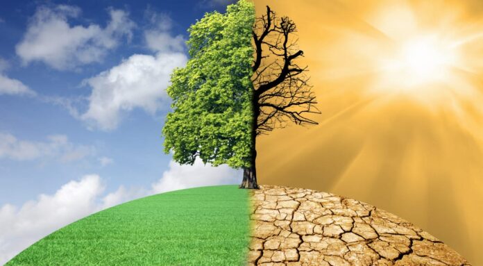 Global Emissions Curve is Bending, but Not Fast Enough: UN Report on Climate Action