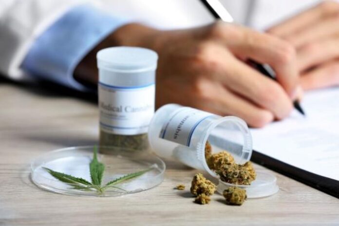 Australian Doctors And Pharmacists Demand Urgent Regulation Of Medical Cannabis Over 'Excessive' Prescribing And Safety Concerns