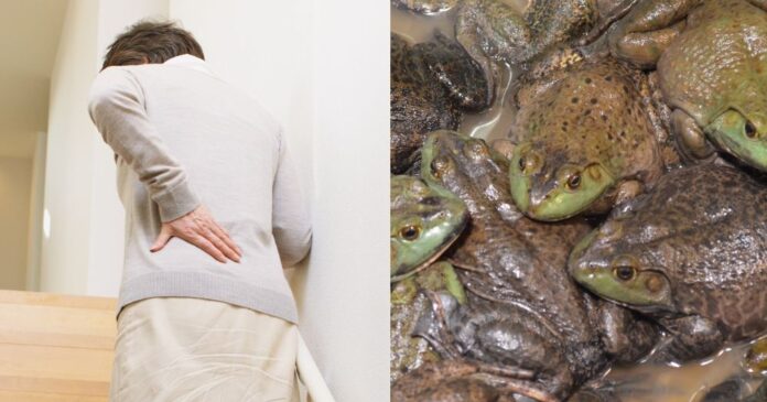 Chinese Woman Hospitalised After Swallowing Eight Live Frogs To Relieve Back Pain