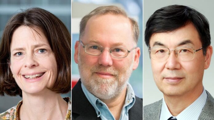 Nobel Prize In Medicine 2025: Brunkow, Ramsdell, and Dr Sakaguchi Win, Reactions.