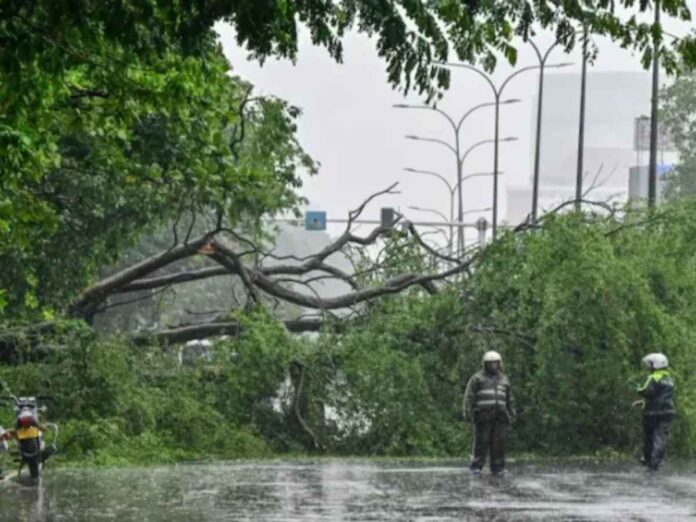 Cyclone Ditwah: Death Toll Rises to 123 in Sri Lanka Due To Heavy Rain