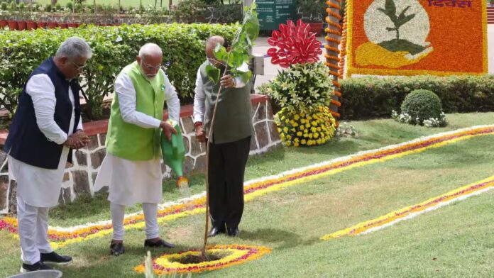Over 1.14 Billion Saplings Planted Under ‘Ek Ped Maa Ke Naam’ Campaign