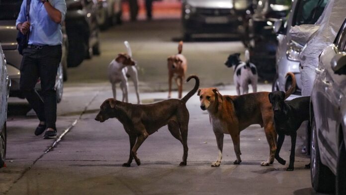 Supreme Court to Use Video Evidence in Heated 