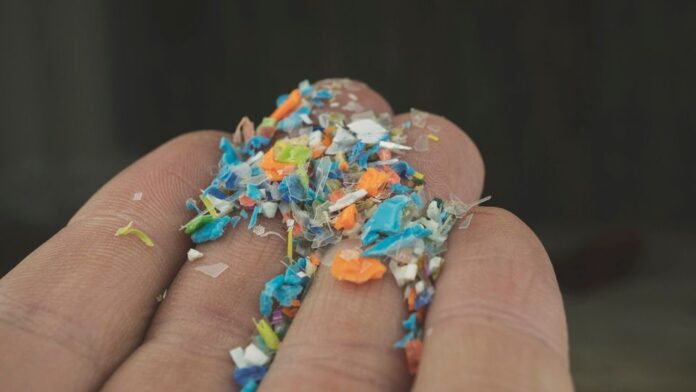 Paternal Exposure To Microplastics May Raise Diabetes Risk In Children, Study Finds