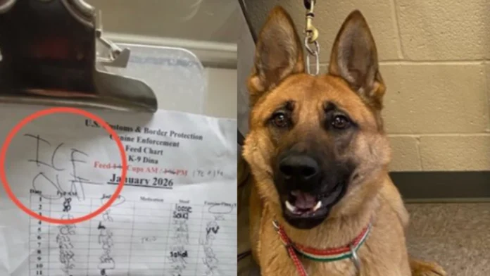 “They’re Even Going After The Dogs!”: DHS Post Sparks Outrage Over Alleged K-9 Targeting In Minneapolis