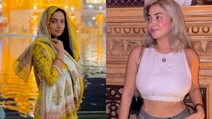 Splitsvilla 16: Who Is Sadhaaf Shankar?