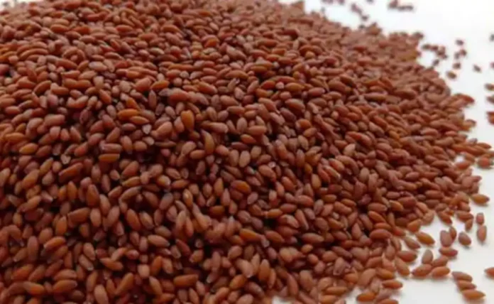 Eating Too Many Aliv Seeds Can Harm Your Health, Warns Nutritionist