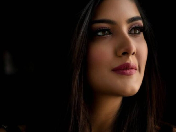 Jaipur Model Harshil Kalia Dies In Tragic Car Crash After Vehicle Overturns